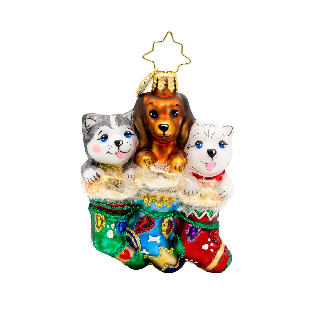 Christopher Radko Puppies in stockings ornament