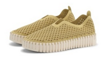 TULIP SHOE FLATS SHOE