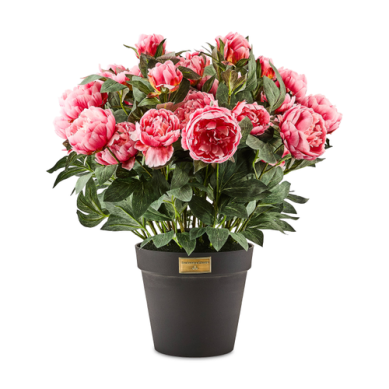 Urn Filler Pink Peony