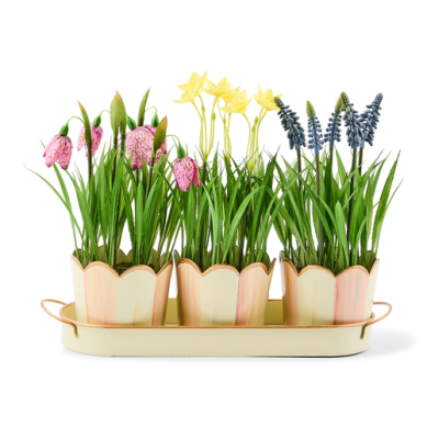 Potted Blooms Rosy Stripe Triple