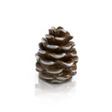PINECONE PRETTY DECO MINI