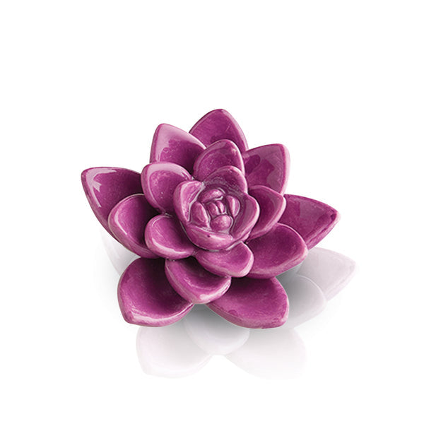 SUCCULENT PURPLE GET GROWING DECO MINI