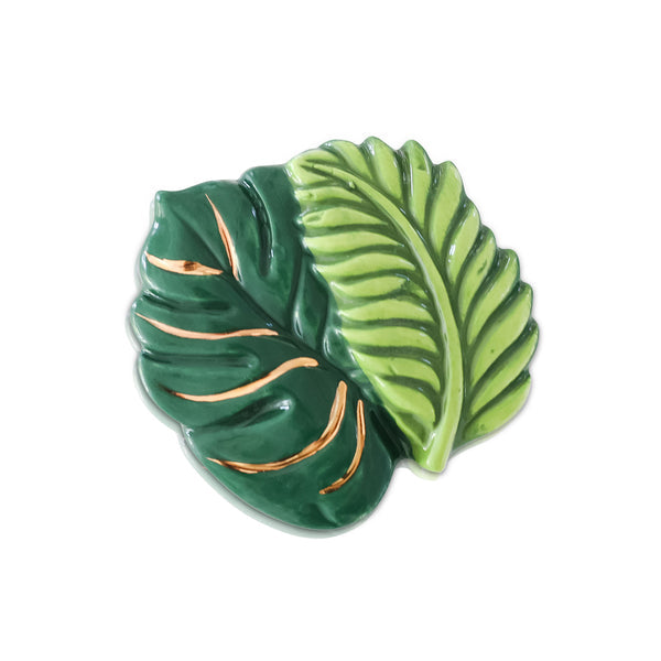 BEST FERNS FOR LIFE DECO MINI