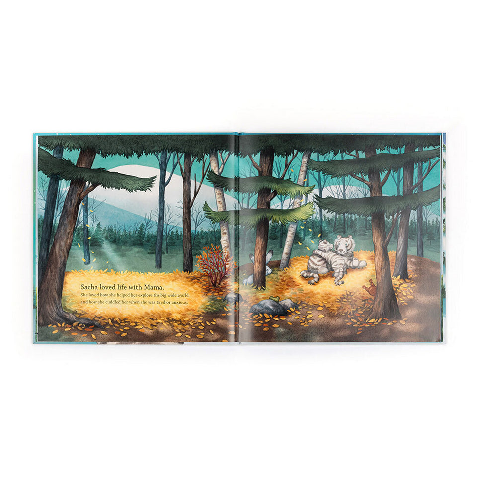 BOOK SACHA AND THE MOST WONDERFUL THING