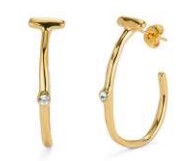 EARRINGS SER INDOMABLE HOOP W/ GEM
