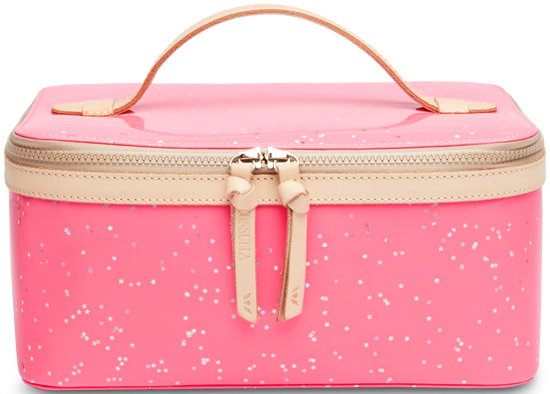 TRAIN CASE REGULAR
