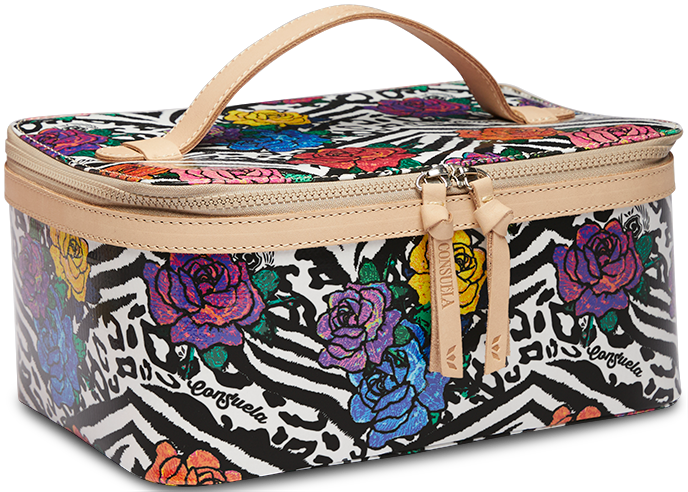 TRAIN CASE REGULAR