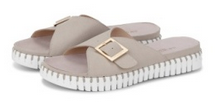 TULIP ONE BUCKLE WHITE SOLE SHOE