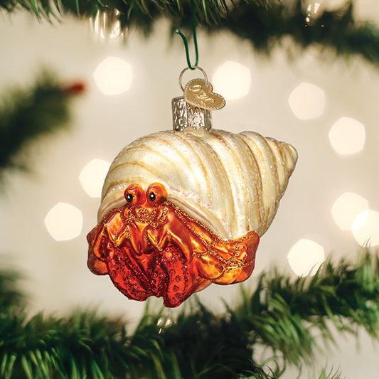 Ornament Hermit Crab