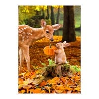 Flag Faun & Bunny Suede