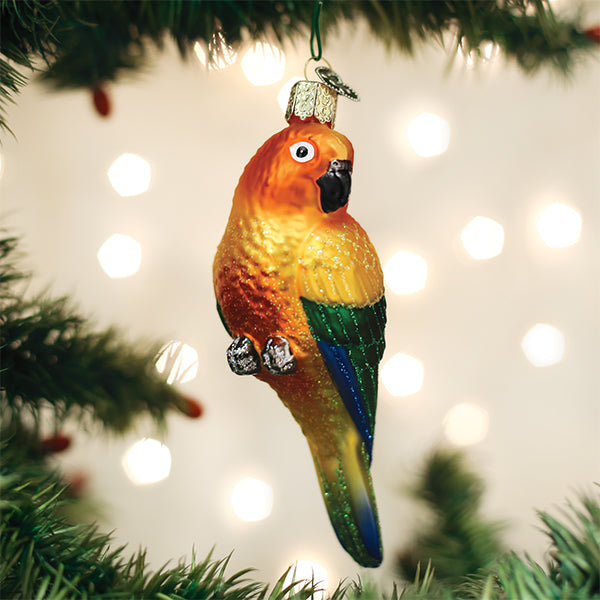 Ornament Parakeet Sun Conure