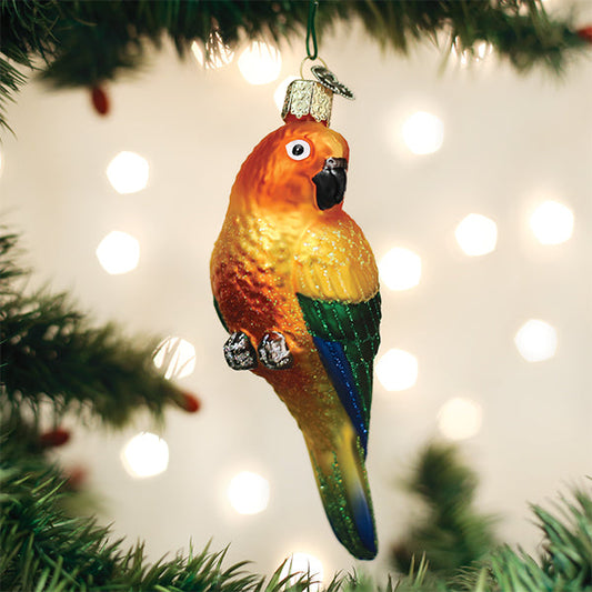 Ornament Parakeet Sun Conure
