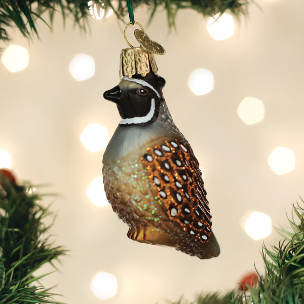 Ornament Quail