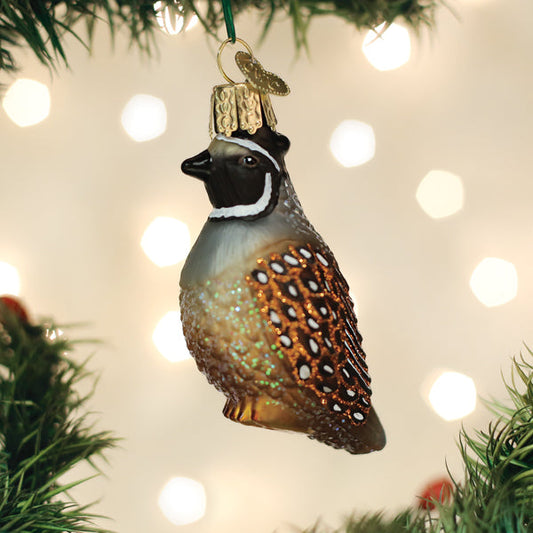 Ornament Quail