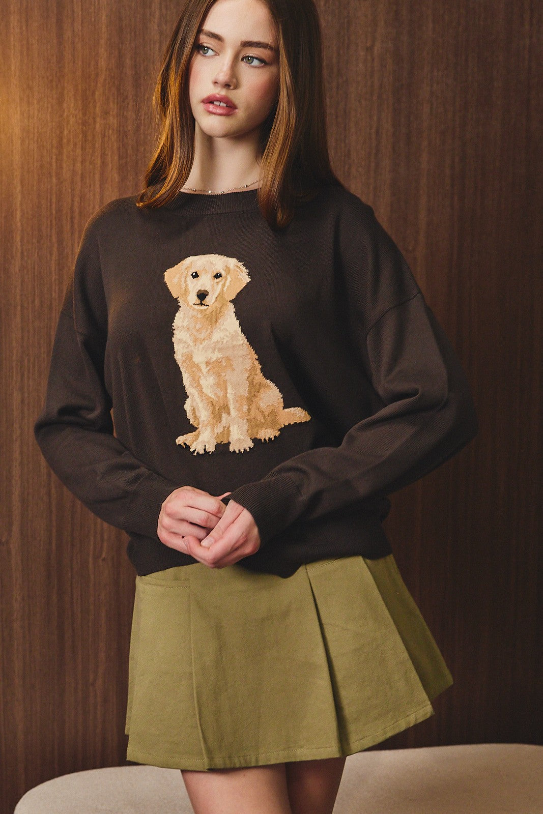 Sweater Golden Retriever Dog Graphic Crew Neck Oversized bROWN
