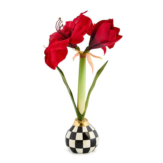 Mackenzie Childs Amaryllis Bulb Arrangement Courtly Check
