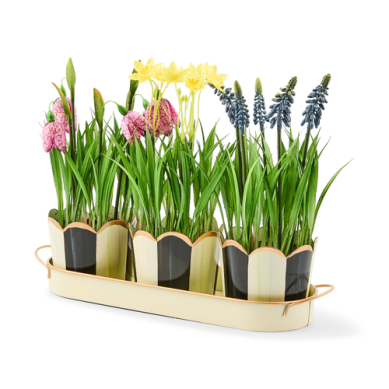 Potted Blooms Courtly Stripe Triple