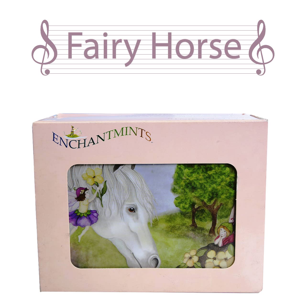 Jewelry Box Fairy Horse Small