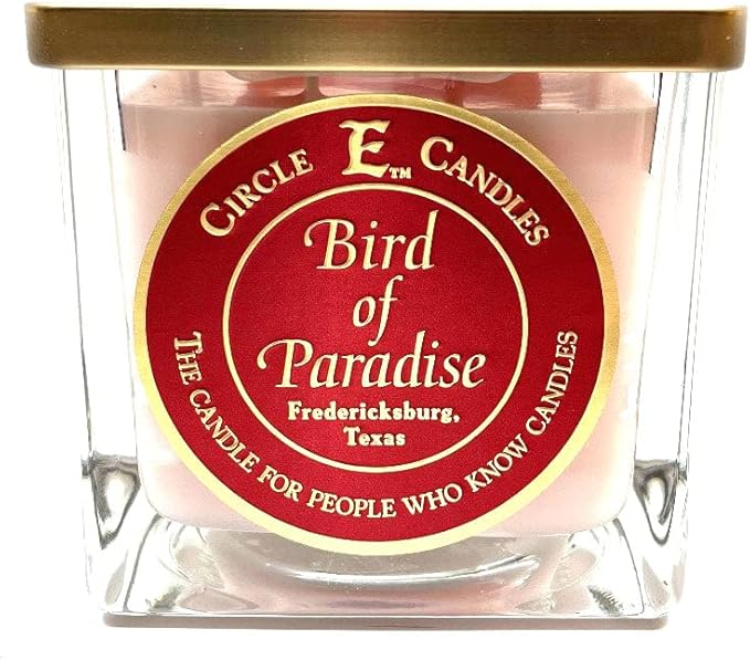 CIR E CANDLE 2 WICK METAL LID 22OZ SQ