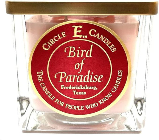 CIR E CANDLE 2 WICK METAL LID-BIRD PARA : 22OZ SQ