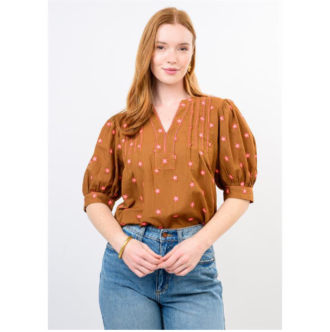 brown top with embroidered stars
