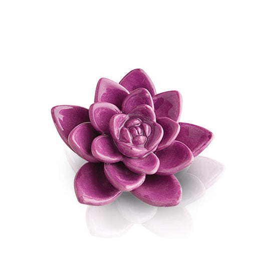 SUCCULENT PURPLE GET GROWING DECO MINI