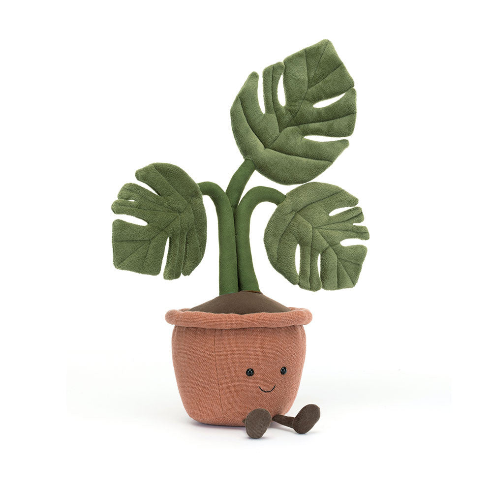 Plant Monstera Amuseable