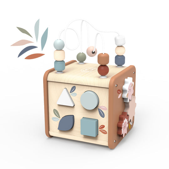 Activity cube 5 in 1