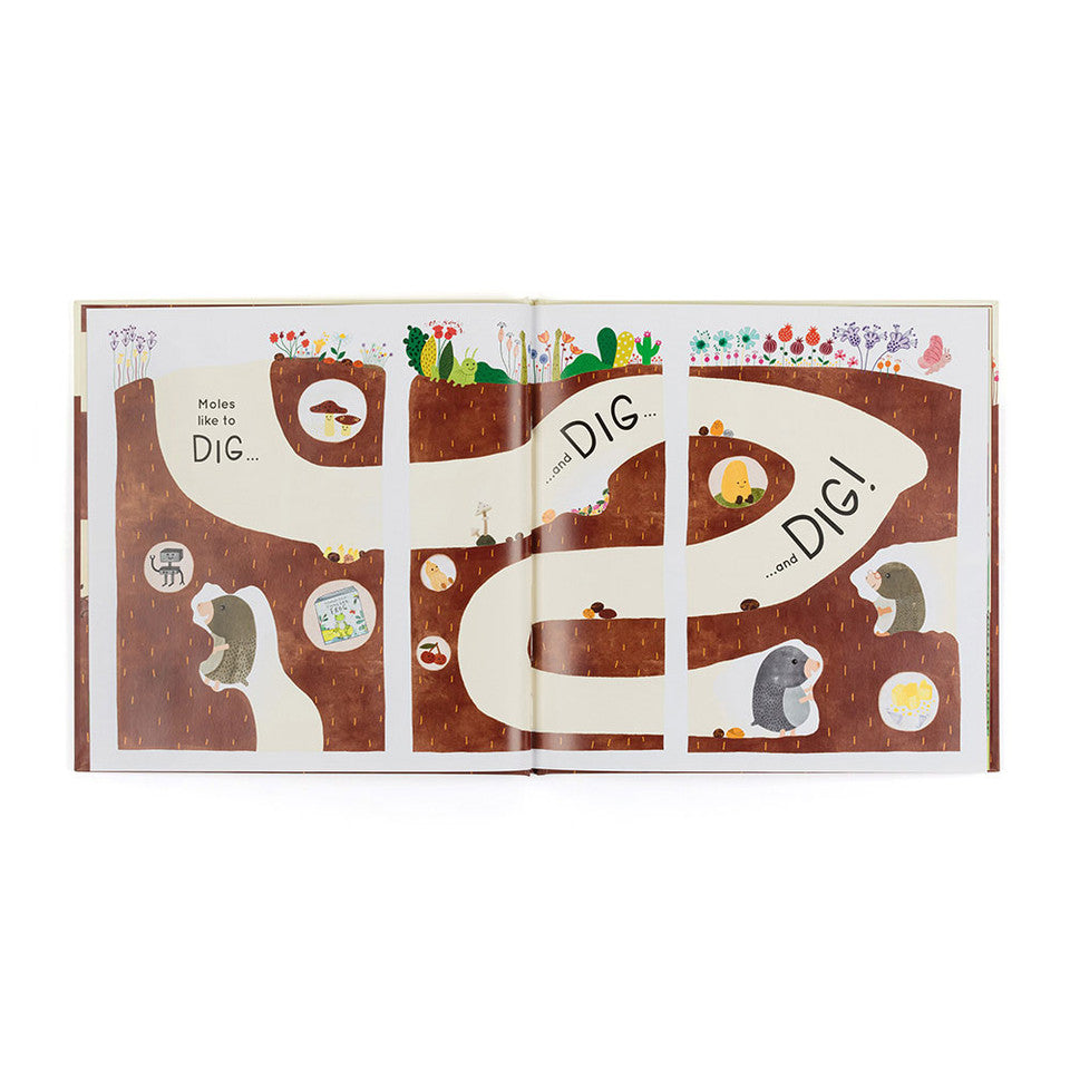 Book Muswell Mole & the Buried Treasure