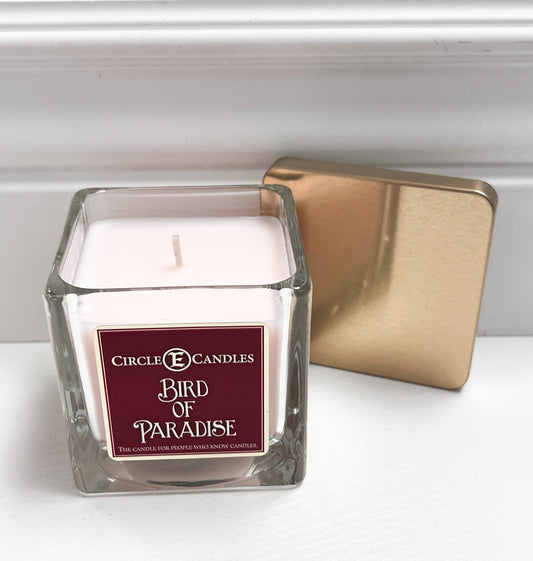 CIR E CANDLE 1 WICK METAL LID-BIRD PARA : 8OZ SQ