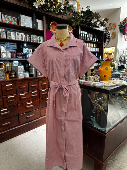 Elan Dress Button Down