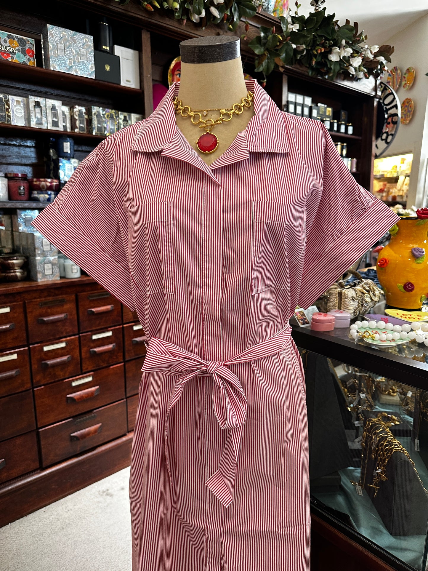 Elan Dress Button Down