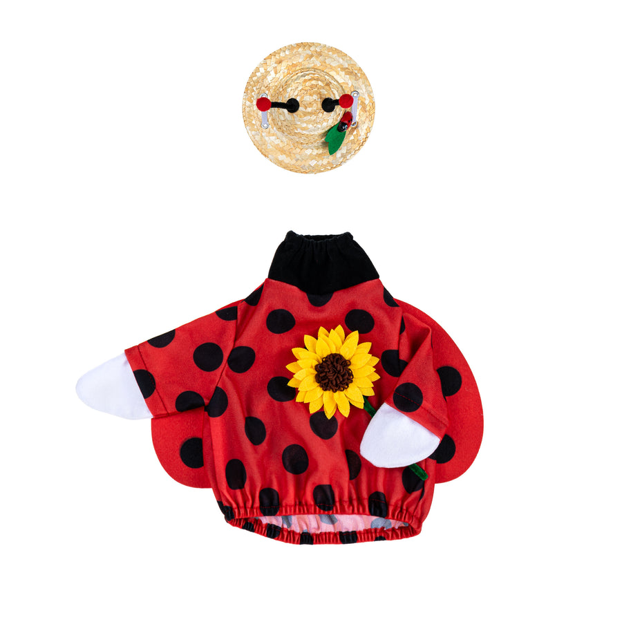 ladybug porch goose outfit