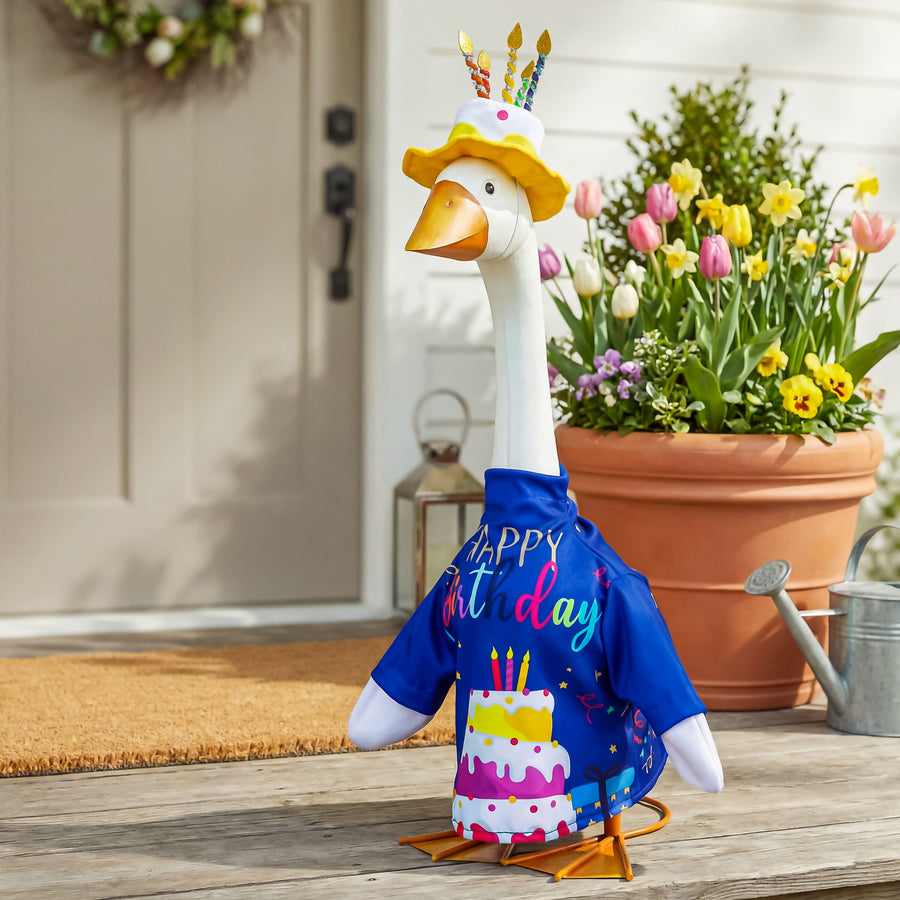 birthday porch goose outfit 