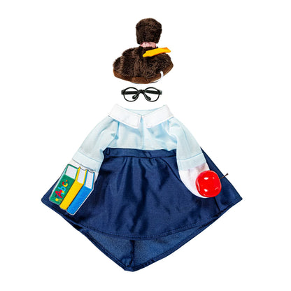 teacher porch goose outfit