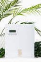 Thomas Blonde Diffuser Blondie Mini