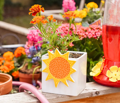 Attachment Mini Sun Happy Everything