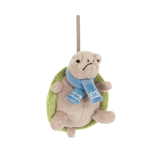 TURTLE TIMMY DECORATION