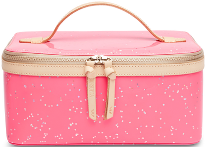 TRAIN CASE REGULAR