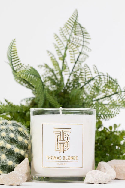 Thomas Blonde blonde candle 
